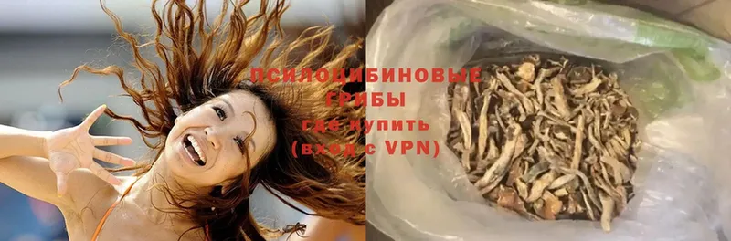 Галлюциногенные грибы Cubensis  цена   hydra   Боготол 